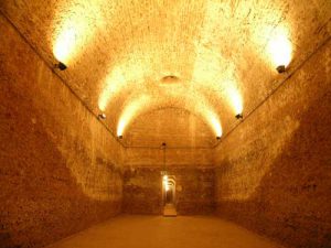 Visite guidate al Museo e parco Archeologico di Cecina @ Parco Archeologico di San Vincenzino | Cecina | Toscana | Italia
